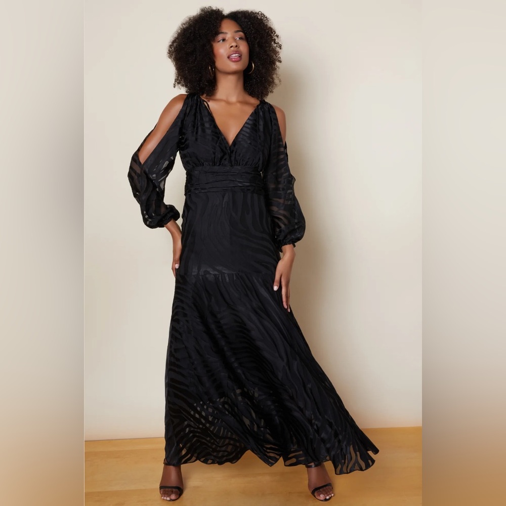Hutch Zebra print maxi dress